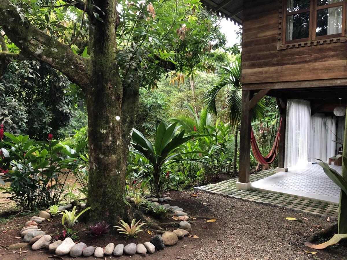 Villa Casa De La Trepada à Cocles Extérieur photo